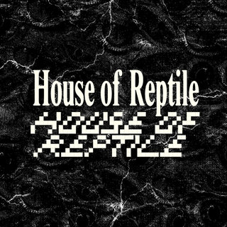 ‘Tools to perfect your instinct. Plotting the destruction of borders. Setting fire to the rage of acceptance. Sonic medicine.’
- House of Reptile Records has been founded in London by Angel Attack and Polanski.